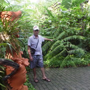  ,   , 55 ,  