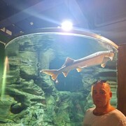 ���������� �����-���������, ���� ������� ������, 48 ���, ������������ ��� ������, ����� � ���������, c�������� ���������