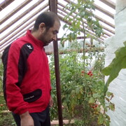 ���������� ������������, ���� ������� ����, 44 ����, ������������ ��� ������, ����� � ���������