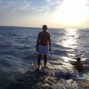 ���������� ����, ���� ������� �������, 44 ����, ������������ ��� ����� � ���������, c�������� ���������