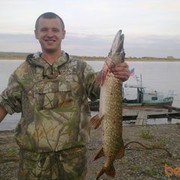 ���������� �����������, ���� ������� ���������, 41 ���, ������������ ��� ������, ����� � ���������, c�������� ���������