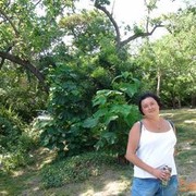 ���������� ������, ���� ������� �����, 44 ����, ������������ 