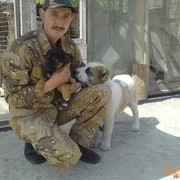 ���������� ����, ���� ������� ����, 53 ����, ������������ 