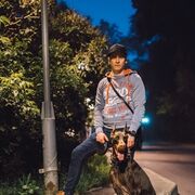  ,   , 41 ,   ,   