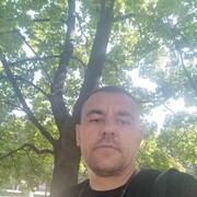  ,   Maks, 39 ,     , c , 