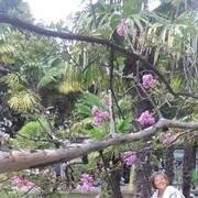  -,   , 63 ,     , c 