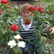  ,   , 55 ,   ,   , c 