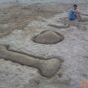 ���������� ������, ���� ������� ������, 31 ���, ������������ ��� ������