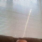 ���������� ���������, ���� ������� ����, 36 ���, ������������ 