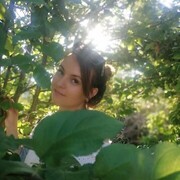 ���������� ������, ���� ������� ����, 31 ���, ������������ ��� ������, ����� � ���������, c�������� ���������, ���������