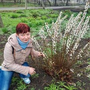 ���������� ��������, ���� ������� ������, 31 ���, ������������ ��� ������, ����� � ���������, c�������� ���������