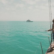 ���������� ������ �����, ���� ������� ������, 30 ���, ������������ ��� ����� � ���������, c�������� ���������