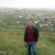 ���������� �����������-��-�����, ���� ������� ���������, 36 ���, ������������ ��� ���������