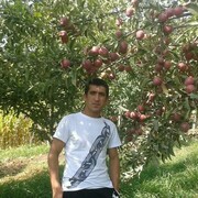  ,   , 38 ,   ,   