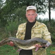  ,   , 51 ,     , c 