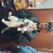 ���������� �������, ���� ������� Kirill, 45 ���, ������������ ��� ������, ���������