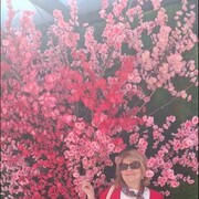   ,   , 56 ,   ,   , c 