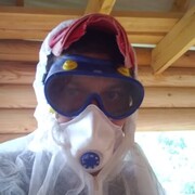 ���������� ������, ���� ������� ������, 36 ���, ������������ ��� ������, ����� � ���������, c�������� ���������