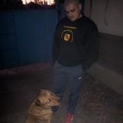  ,   Vladimir, 41 ,     , c 