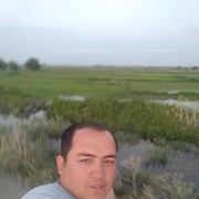  ,   , 39 ,   