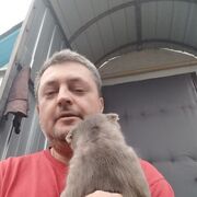  ,   , 44 ,   ,   
