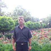 ���������� �������, ���� ������� ����, 55 ���, ������������ ��� ����� � ���������, c�������� ���������