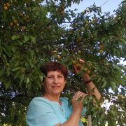  ,   , 65 ,  