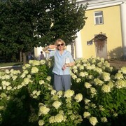 ���������� ������, ���� ������� �������, 59 ���, ������������ ��� ������, ����� � ���������