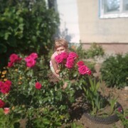  ,   , 42 ,   ,   , c , 