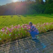  ,   , 54 ,   ,   , c , 