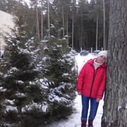 ���������� ������, ���� ������� ������, 53 ����, ������������ ��� ������, ����� � ���������, c�������� ���������