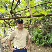  ,    , 55 ,   ,   , c , 