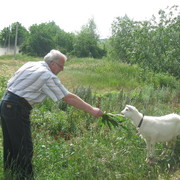 ���������� �������, ���� ������� �����, 69 ���, ������������ ��� ������, ����� � ���������, c�������� ���������