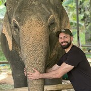 ���������� Beirut, ���� ������� Jad, 28 ���, ������������ 