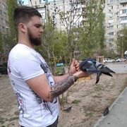 ���������� ���������, ���� ������� ���������, 29 ���, ������������ ��� ������, ����� � ���������