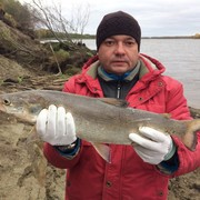 ���������� ����������, ������� ������, 42