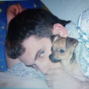 ���������� ������, ���� ������� �����, 40 ���, ������������ ��� ������, ����� � ���������, c�������� ���������