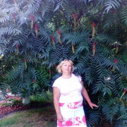  ,   , 59 ,   c 