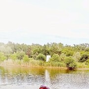 ���������� ����, ���� ������� ������, 39 ���, ������������ ��� ����� � ���������, c�������� ���������