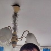 ���������� ������, ���� ������� ����, 33 ����, ������������ ��� ����� � ���������, c�������� ���������