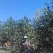  ,    , 29 ,   ,   , c 