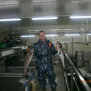  ,   , 48 ,   
