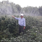  ,   , 55 ,   ,   , c 