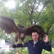 ���������� �������, ���� ������� Olimpik, 40 ���, ������������ ��� ������, ����� � ���������, c�������� ���������