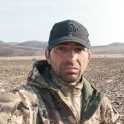  ,   , 40 ,  