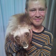 ���������� ����������, ���� ������� �������, 44 ����, ������������ ��� ������, ����� � ���������, c�������� ���������