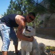 ���������� ������, ���� ������� Serga, 37 ���, ������������ ��� ������