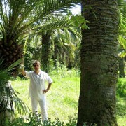  ,    , 60 ,   ,   , c 