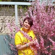  ,   , 56 ,   ,   