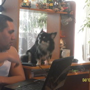  ,   , 43 ,   ,   , c 